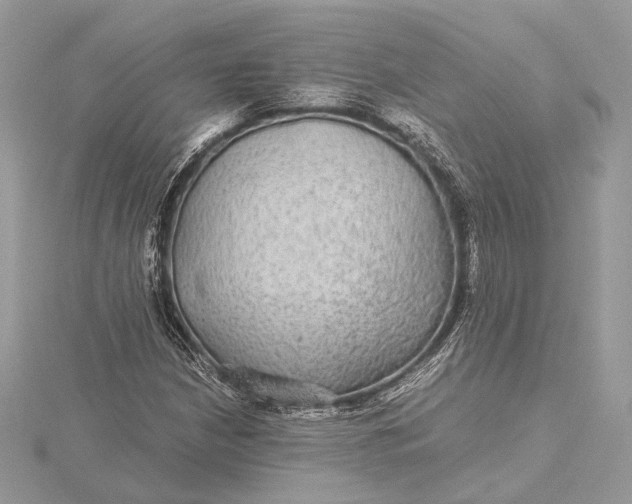 X0000116001210200912031501