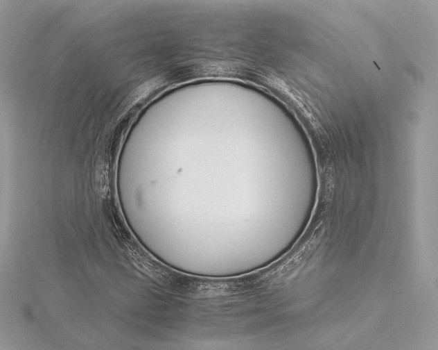 X0000116001211200912031501