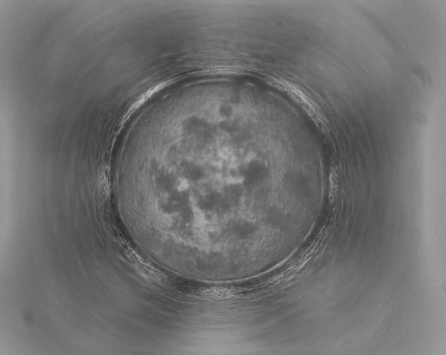 X0000116001212200912031501