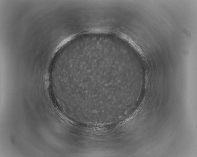 X0000116001213200912031501