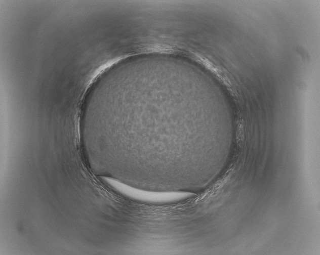 X0000116001214200912031501