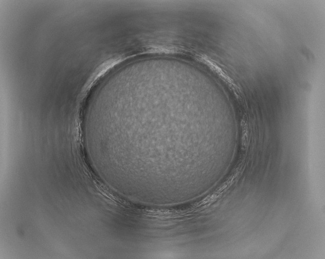 X0000116001215200912031501