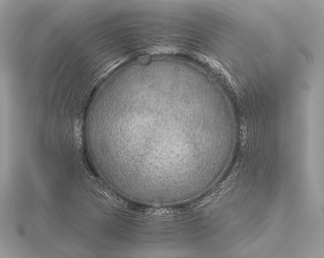 X0000116001217200912031501