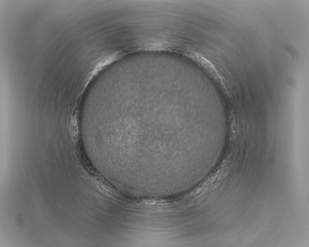 X0000116001218200912031501