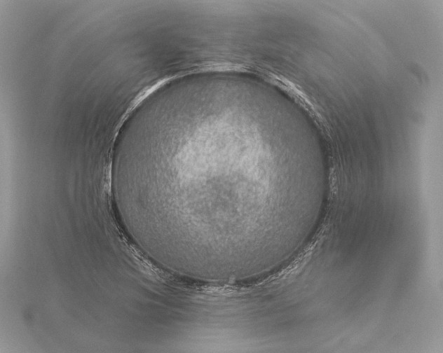 X0000116001220200912031502