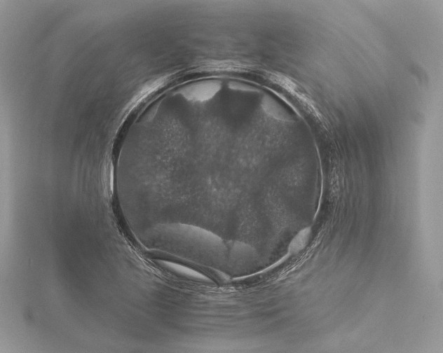 X0000116001221200912031502