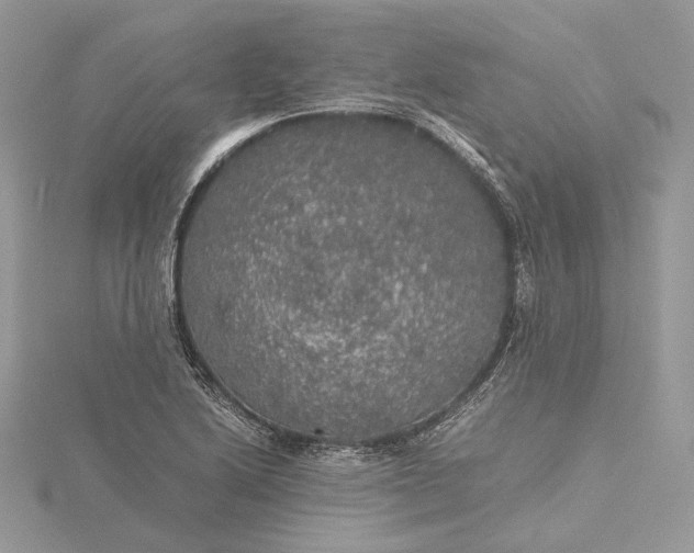 X0000116001222200912031502