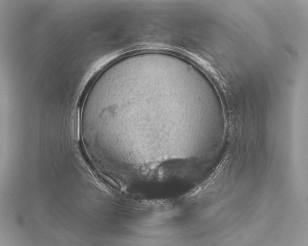 X0000116001223200912031502