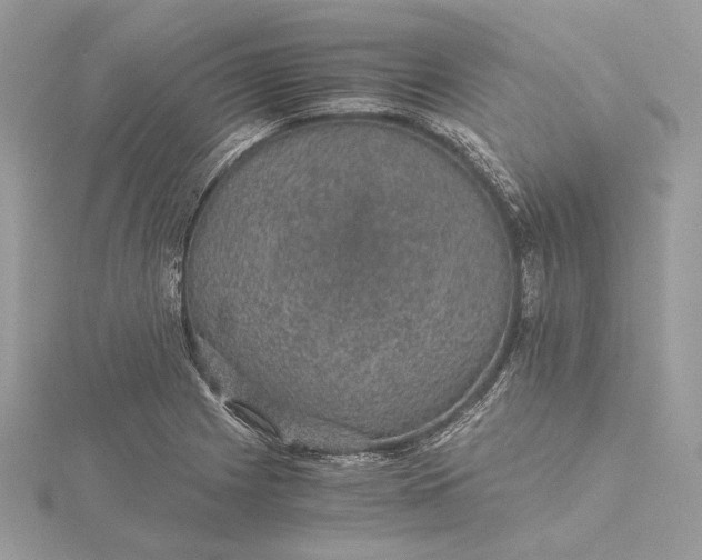 X0000116001225200912031502