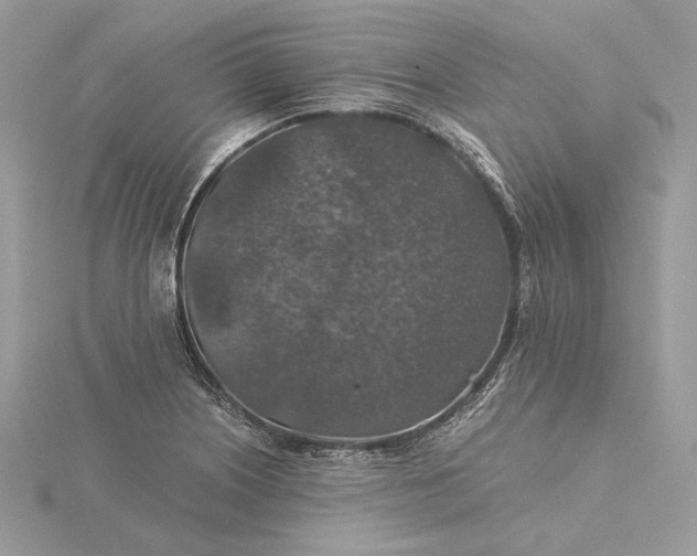 X0000116001226200912031502