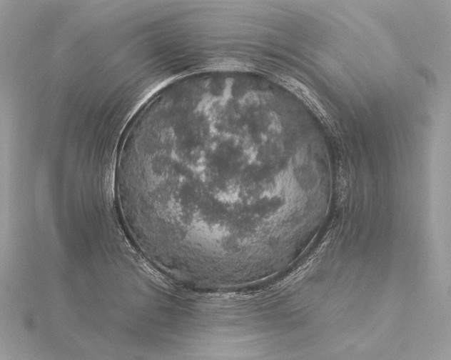 X0000116001228200912031502