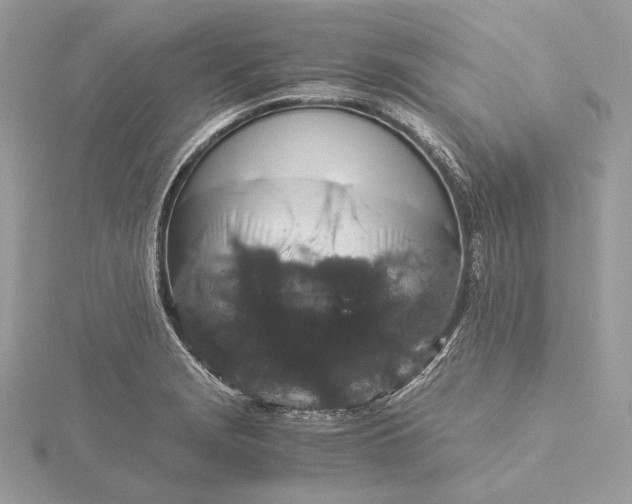 X0000116001229200912031502