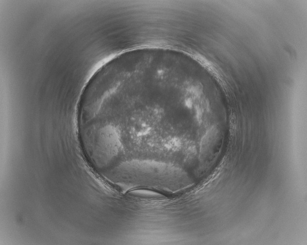 X0000116001230200912031502