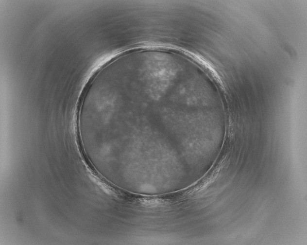 X0000116001231200912031502