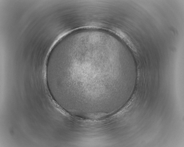 X0000116001232200912031502