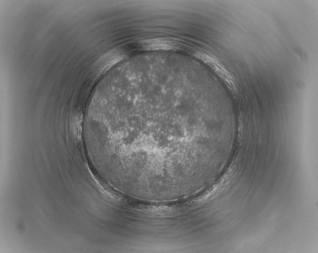 X0000116001233200912031502