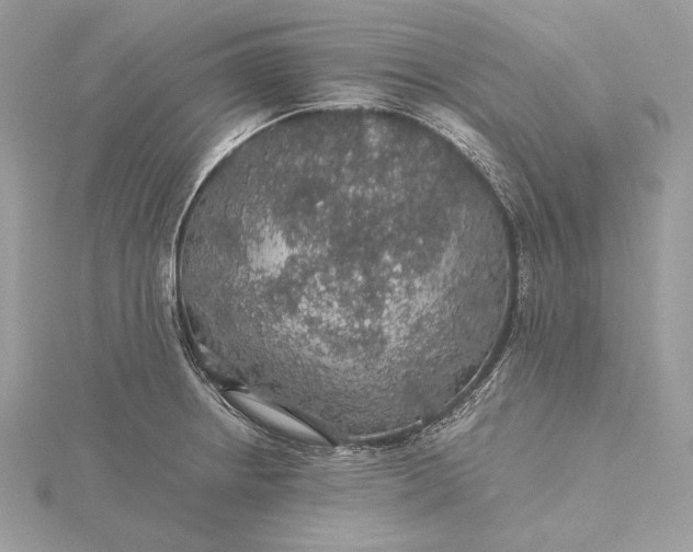 X0000116001234200912031502