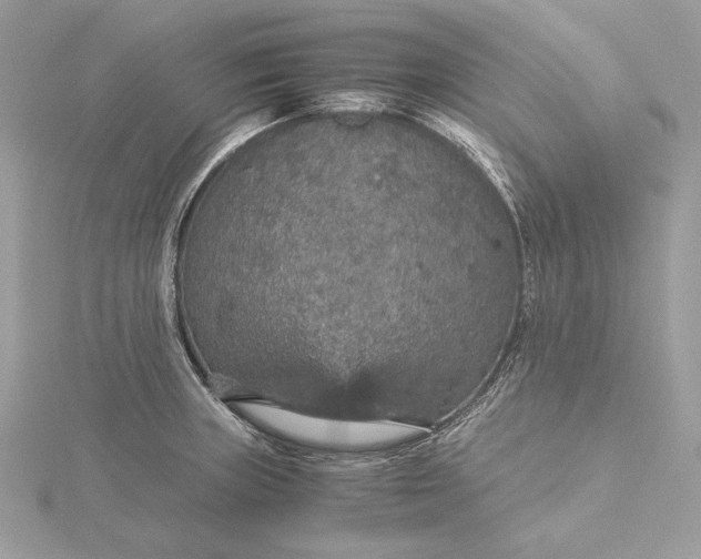 X0000116001235200912031502