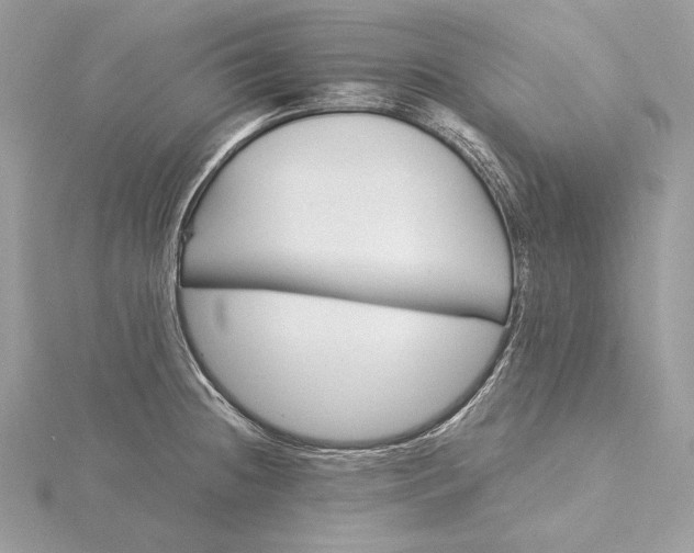 X0000116001236200912031502