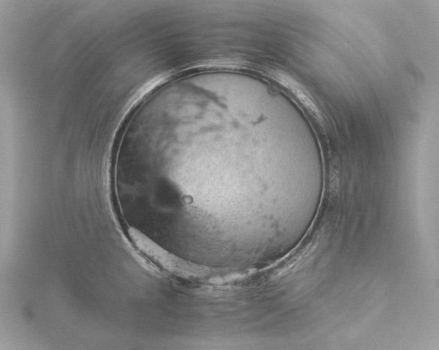 X0000116001237200912031502