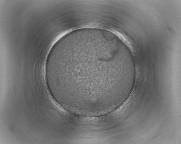 X0000116001238200912031502