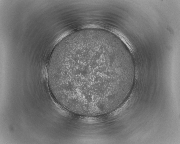 X0000116001241200912031502