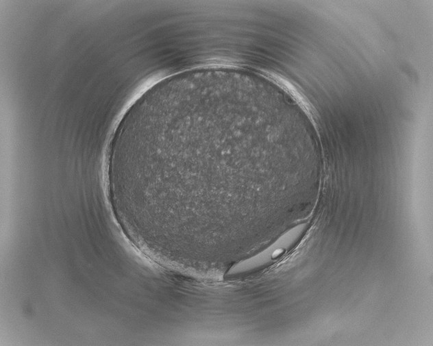 X0000116001243200912031502