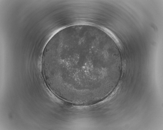 X0000116001244200912031502