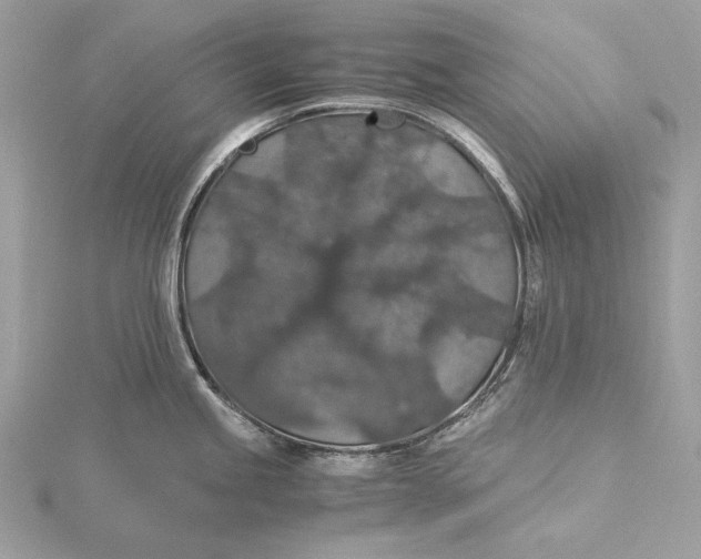 X0000116001245200912031502