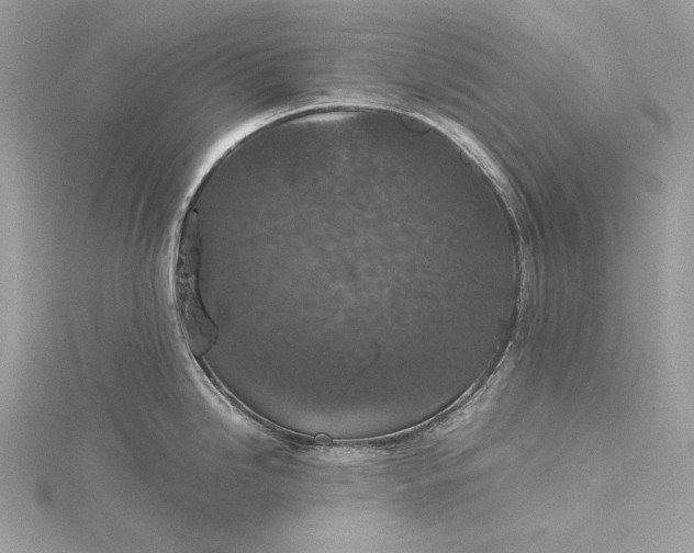 X0000116001246200912031502