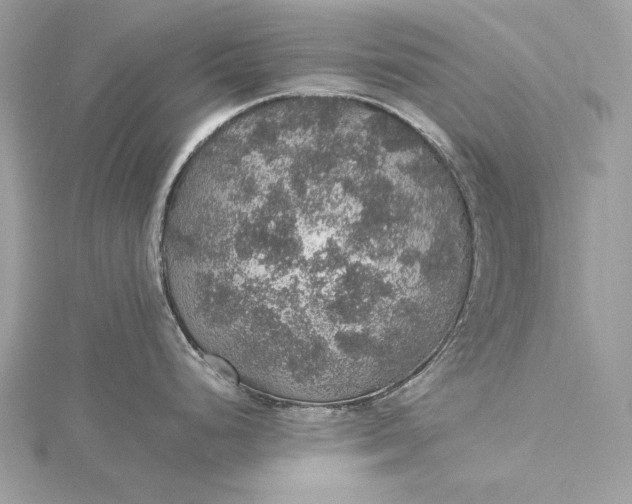 X0000116001248200912031502