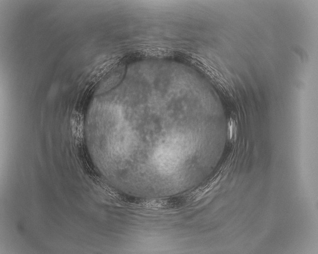 X0000116001251200912031501