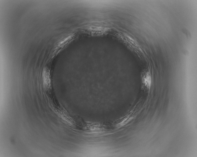 X0000116001252200912031501