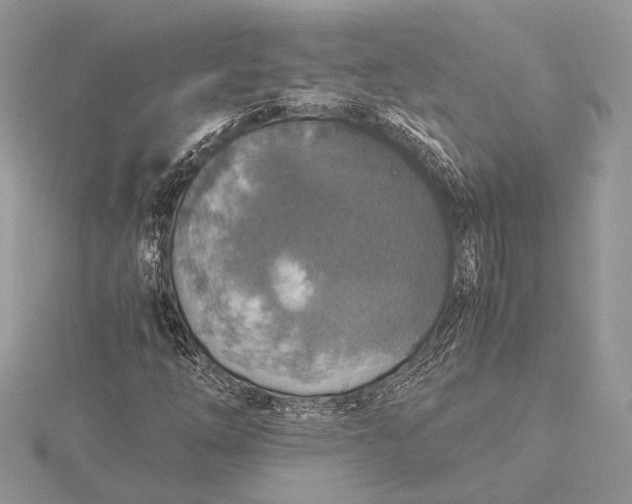 X0000116001254200912031501