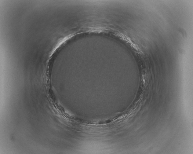 X0000116001256200912031501