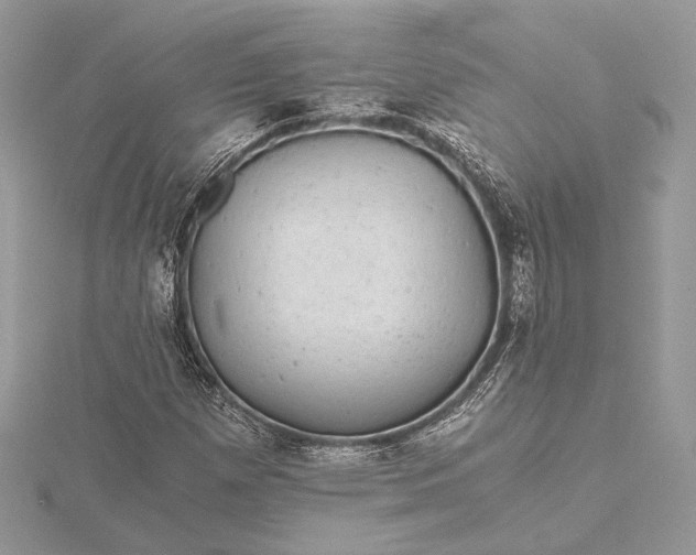 X0000116001257200912031501