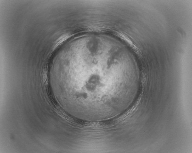 X0000116001259200912031501