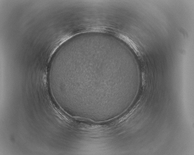 X0000116001260200912031501