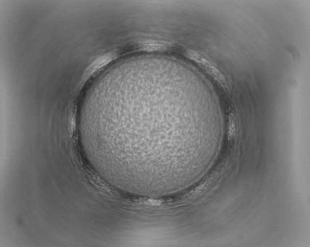 X0000116001261200912031501