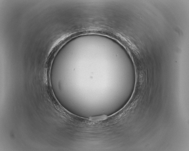 X0000116001262200912031501