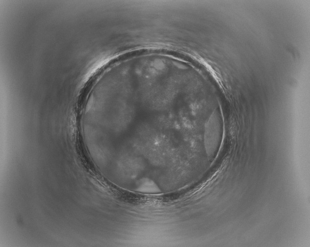 X0000116001263200912031501