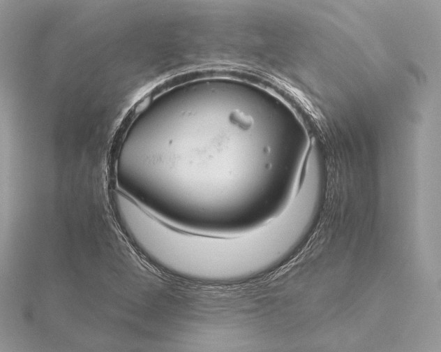 X0000116001264200912031501