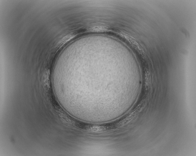 X0000116001265200912031501