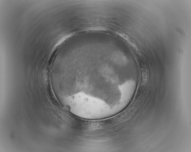 X0000116001266200912031501