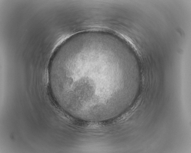 X0000116001267200912031501