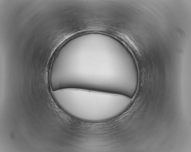 X0000116001268200912031501