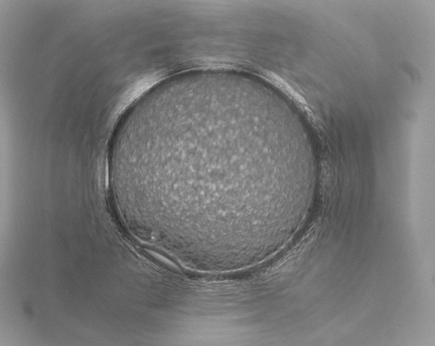 X0000116001269200912031501