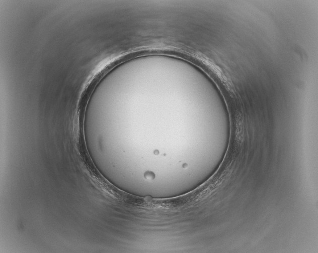 X0000116001270200912031501