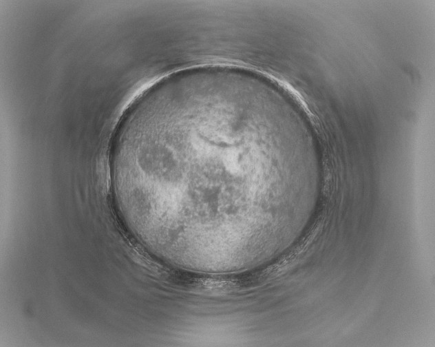 X0000116001271200912031501