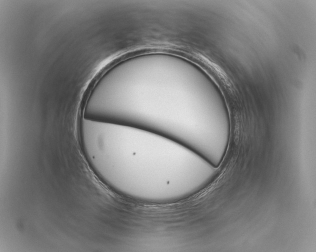 X0000116001272200912031501